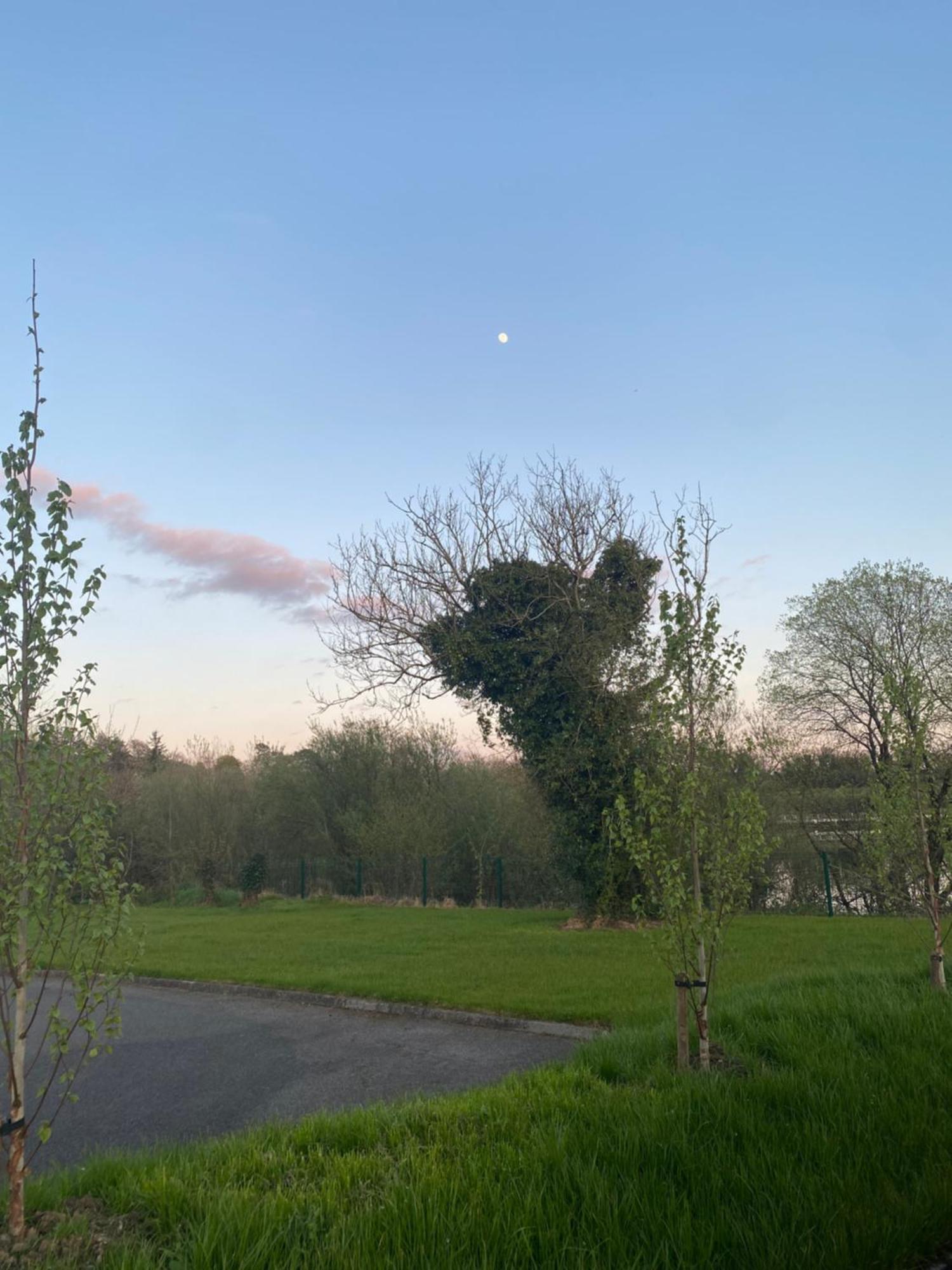 Killyfole Lakeside Lodges Corranny Екстер'єр фото